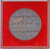 1989. "Pro Hungarotex" Br plakett, eredeti tokban (110mm) T:1-,2