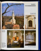 Dercsényi Balázs-Foltin Brunó-G.Györffy Katalin-Hegyi Gábor-Winkler Gábor-Zászkaliczky Zsuzsanna: Ev...