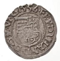 1556K-B Denár Ag "I. Ferdinánd" (0,43g) T:1-,2
Hungary 1556K-B Denar Ag "Ferdinand I...