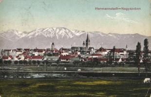 Nagyszeben, Hermannstadt, Sibiu; látkép. G. A. Seraphin kiadása / general view (kopott sarok / worn corner)
