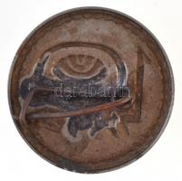 Izrael 1958. "10" fém emlékjelvény Izrael állam fennállásának 10. évfordulója alkalmából T...