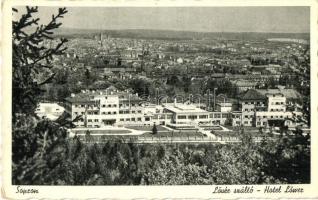 56 db főleg régi magyar városképes lap / 56 mostly pre-1945 Hungarian town-view postcards
