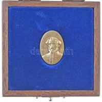 1990. Széchenyi-díj aranyozott kitűző, eredeti tokban (17x25mm) T:2 Hungary 1990. Széchenyi Prize gold plated pin, in original case (17x25mm) C:XF  MNK.: 731.