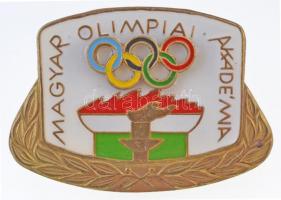 DN "Magyar Olimpiai Akadémia" zománcozott jelvény, csavaros hátlappal (28x39mm) T:1-