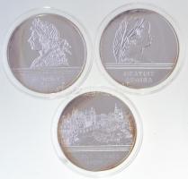 DN Reneszánsz szett ezüstözött Cu-Ni emlékérem sorozat dísztokban, benne Mátyás, Beatrix, Budai vár (38,61mm) T:PP kis patina