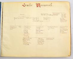 A Várady-Kopp család és rokonságának története. Két hatalmas füzet, több száz fényképpel, közte csal...