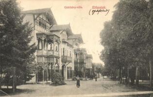 Előpatak, Valcele; Fősétány, Gidófalvy- és Goldstein villa / main promenade, villas (EK)