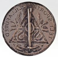 ~1930. "Téli Sporthét Lillafüred -MSSZ (Magyar Sí Szövetség) - Versenyző" ezüstözött Cu je...