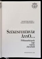 Demeter Zsófia - Gelencsér Ferenc: Székesfehérvár anno...Pillanatképek egy város életéből. Székesfeh...