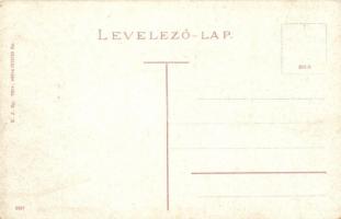 Kaposvár, Magyar Állami elemi népiskola