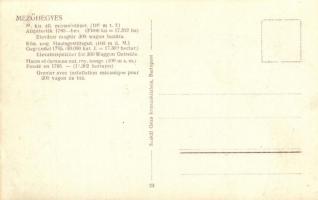 Mezőhegyes, Magyar Királyi Állami ménesintézet, Elevátor magtár 300 vagon búzára