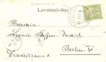 Kadarkút, Gróf Somssich-kastély (szakadás / tear)