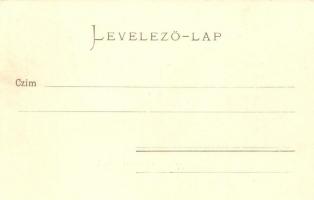 Székesfehérvár, Kórház utca. Kaufman F. kiadása