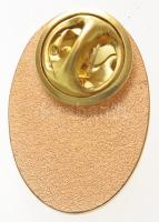 2000- . "Kossuth-díj" aranyozott kitűző, eredeti tokban (17x25mm) + a Kossuth-díj hengerta...