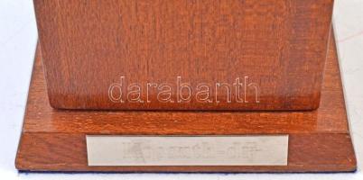 2000- . "Kossuth-díj" aranyozott kitűző, eredeti tokban (17x25mm) + a Kossuth-díj hengerta...