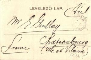 Budapest, Erzsébet híd. Montázslap söröskorsóval / Montage postcard with beer mug, TCV card (EB)