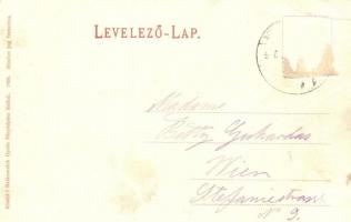 Balatonfüred, Fürdő telep. Balázsovich Gyula fényképész kiadása (EK)