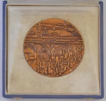 ~1970. "BKV" kétoldalas Br plakett, eredeti tokban (100mm) T:2