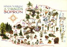 11 db modern európai térkép motívumlap / 11 modern European map motive cards