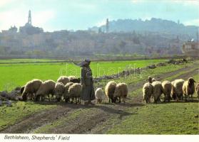 45 db modern izraeli képeslap / 45 modern Israeli town-view postcards