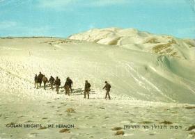 45 db modern izraeli képeslap / 45 modern Israeli town-view postcards