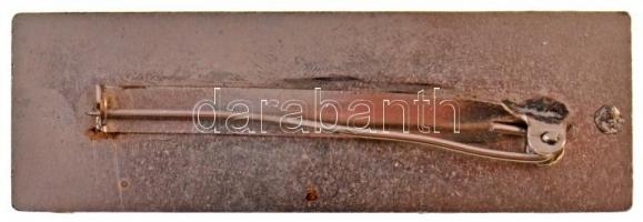 ~1980. "Főtaxi - Csoportvez." zománcozott fém csoportvezetői jelvény (22x68mm) T:2