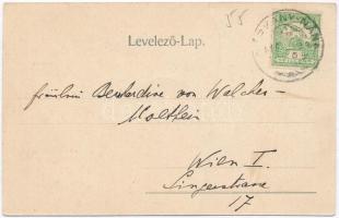 Bajna, Sándor-Metternich kastély, terasz (apró szakadás / tiny tear)