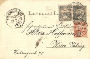 Mezőhegyes, Kozma szobor, Központi szálloda. Honisch felvétele (fl)