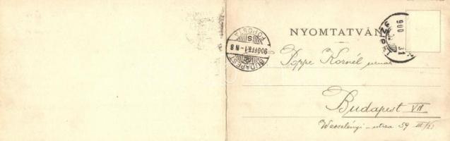 Sátoraljaújhely, látkép gyárakkal. panoramacard