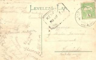 Visegrád, Fő utca felső része, gyógyszertár (EK)