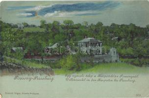 Pozsony, Pressburg, Bratislava; - 20 db régi képeslap jó lapokkal / 20 pre-1945 postcards with good ...