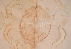 1870 Díszes ügyvédi vizsga levél, a pesti királyi ítélő tábla által kiállítva Szamovolszky Lőrinc (1...