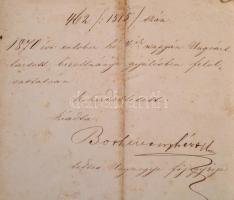 1870 Díszes ügyvédi vizsga levél, a pesti királyi ítélő tábla által kiállítva Szamovolszky Lőrinc (1...