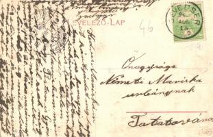 Devecser, Gróf Esterházy kastély. W. L. 8. (EK)