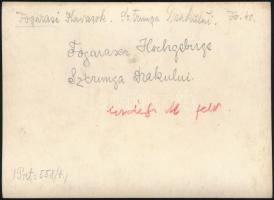 cca 1910 Fogarasi-havasok, Erdélyi Mór felvétele, hátulján feliratozva, pecséttel jelzett, 11,5×16 c...