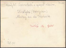 cca 1910 Királykő-hegység, Erdélyi Mór felvétele, hátulján feliratozva, 11,5×16 cm / cca 1910 Muntii...
