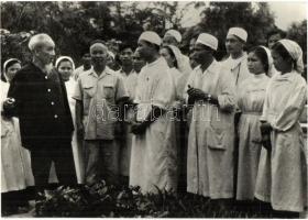 24 db MODERN folklór motívumlap / 24 modern folklore motive postcards