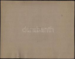 1943  Magyarországi Bőripari Munkások Szövetségének 40. évi jubileumi és X. küldöttközgyűlése, fotó,...