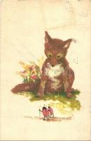 5 db VEGYES állatos motívumlap bogarakkal / 5 mixed animal art postcards with bugs