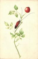 5 db VEGYES állatos motívumlap bogarakkal / 5 mixed animal art postcards with bugs