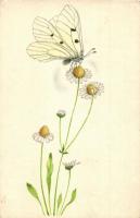 5 db VEGYES állatos motívumlap bogarakkal / 5 mixed animal art postcards with bugs