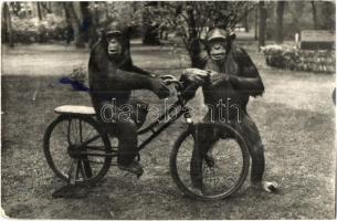 10 db főleg RÉGI képeslap kerékpárral / 10 mostly pre-1945 postcards with bicycles