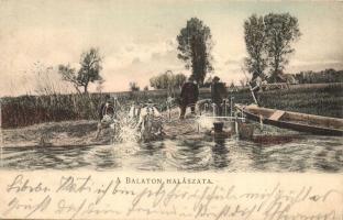 1904 Balatoni halászat. D.K.F.E. 929.