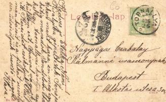 Tornalja, Tornala; Özv. Tornallyay Dezsőné kastély. No. 1127. / castle (EK)