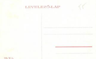 Tiszolc, Tisovec; Tiszolc-völgyi fogaskerekű vasút, iparvasút, gőzmozdony, híd. W. L. 709. / standar...