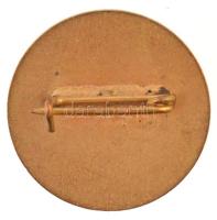 ~1970-1980. "Autótaxi Törzsgárda 15 év" zománcozott fém jelvény (20mm) T:2