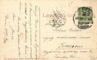 Déva, Deva; Fő tér, Hirsch Testvérek, Holtzer Károly, Lobstein Vilmos, Szőcs F. Lajos üzlete, hintók...