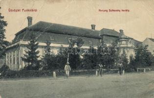 Pankota, Pancota; Dietrich-Sulkowski kastély (Herceg Sulkovsky kastély). W. L. Bp. 5417. / castle (fa)