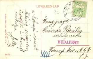 Érmihályfalva, Valea Lui Mihai; Grosz Herman üzlete, utcakép. W. L. Bp. N. 5987. / street view, shop...