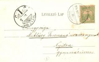 Hajdúnánás, Pauliny Vilmos háza. Bartha Imre kiadása